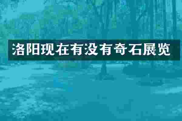 洛阳现在有没有奇石展览
