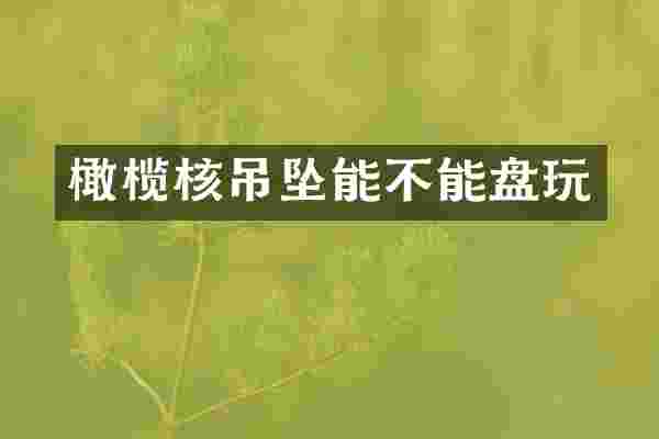 橄榄核吊坠能不能盘玩