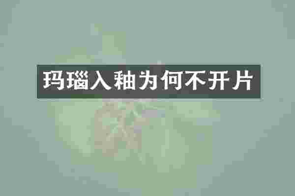 玛瑙入釉为何不开片