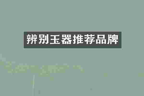 辨别玉器推荐品牌