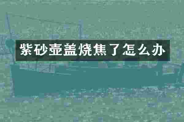 紫砂壶盖烧焦了怎么办