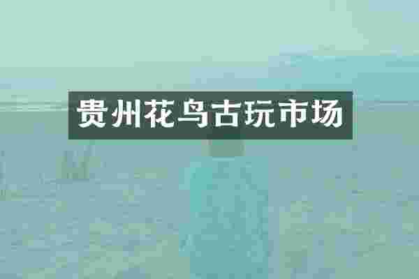 贵州花鸟古玩市场