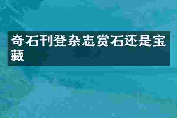 奇石刊登杂志赏石还是宝藏