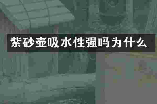 紫砂壶吸水性强吗为什么