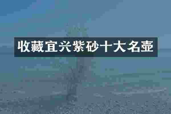 收藏宜兴紫砂十大名壶