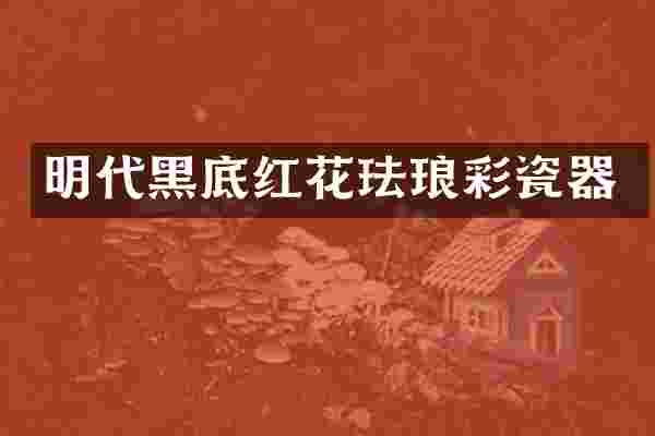 明代黑底红花珐琅彩瓷器