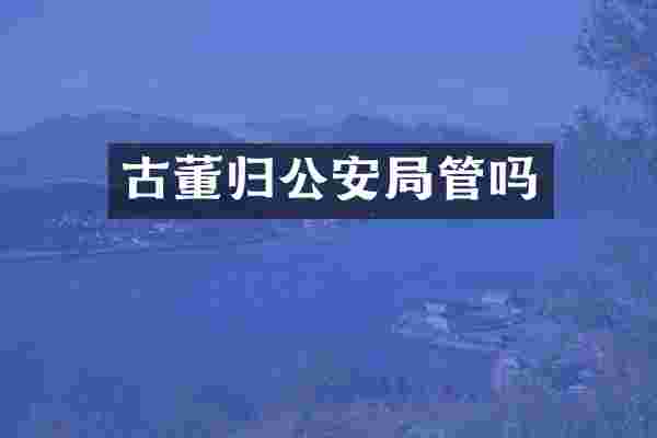 古董归公安局管吗
