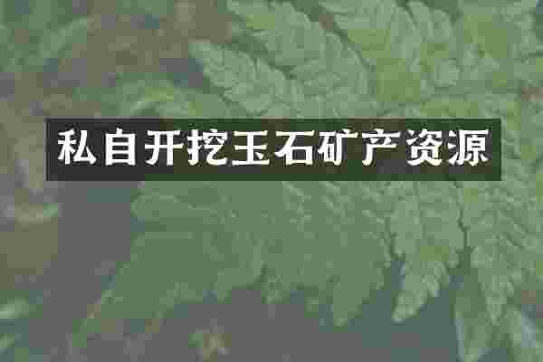 私自开挖玉石矿产资源