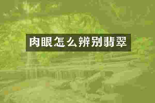 肉眼怎么辨别翡翠