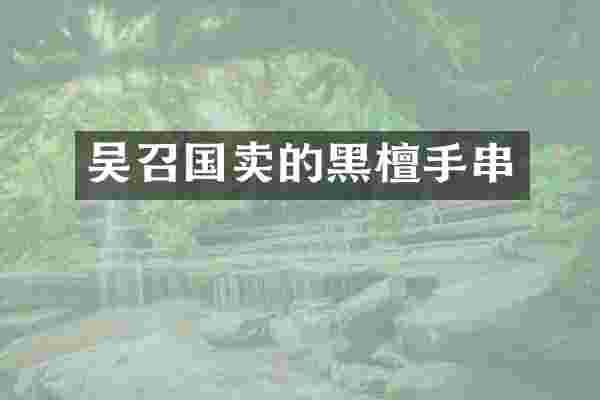 吴召国卖的黑檀手串