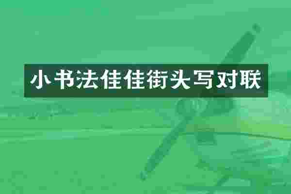 小书法佳佳街头写对联
