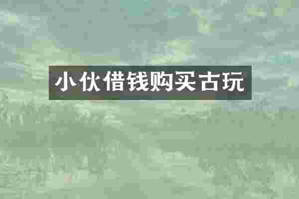 小伙借钱购买古玩