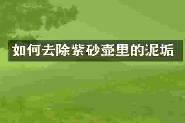 如何去除紫砂壶里的泥垢