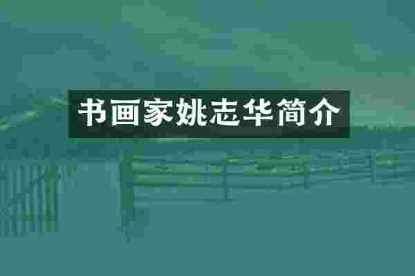 书画家姚志华简介
