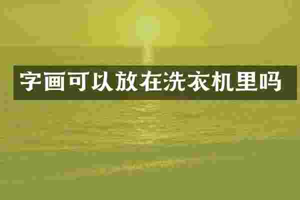 字画可以放在洗衣机里吗