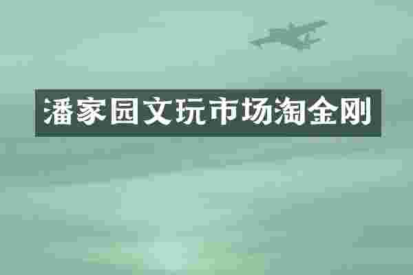 潘家园文玩市场淘金刚