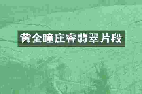 黄金瞳庄睿翡翠片段