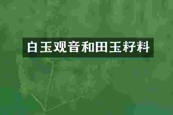 白玉观音和田玉籽料