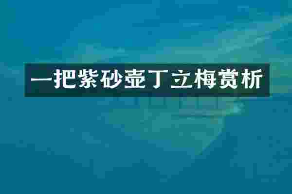 一把紫砂壶丁立梅赏析