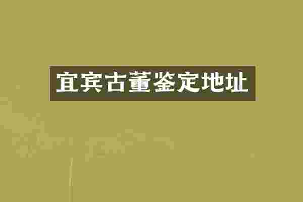 宜宾古董鉴定地址