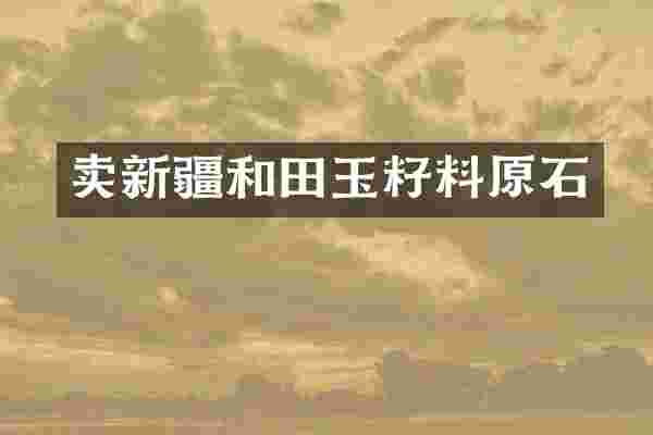 卖新疆和田玉籽料原石