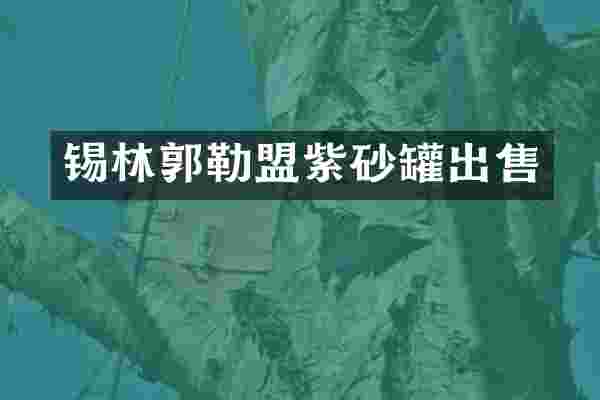 锡林郭勒盟紫砂罐出售