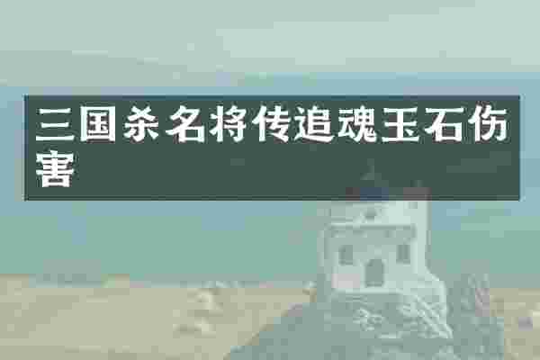三国杀名将传追魂玉石伤害