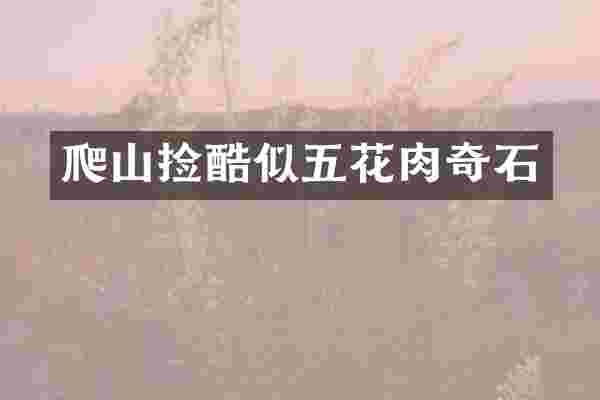 爬山捡酷似五花肉奇石