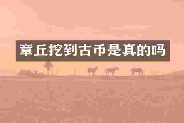 章丘挖到古币是真的吗