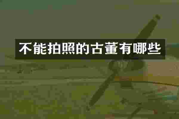 不能拍照的古董有哪些