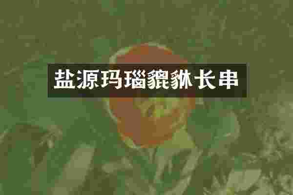 盐源玛瑙貔貅长串