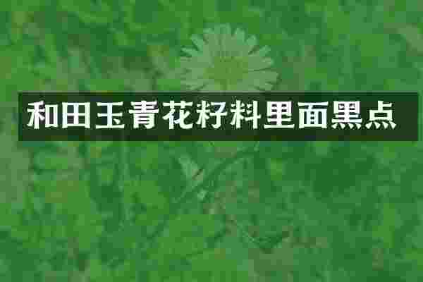 和田玉青花籽料里面黑点