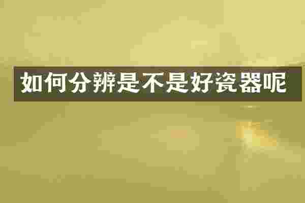 如何分辨是不是好瓷器呢