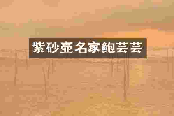 紫砂壶名家鲍芸芸
