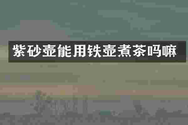 紫砂壶能用铁壶煮茶吗嘛