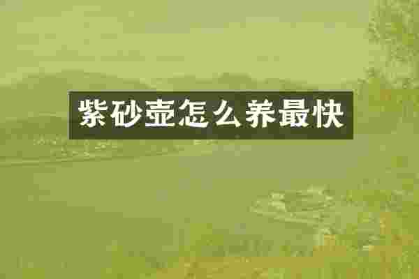 紫砂壶怎么养最快