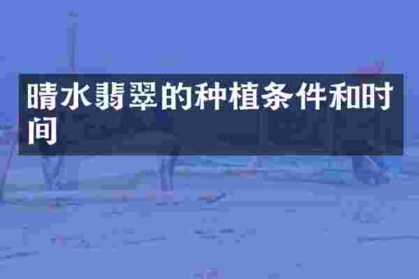晴水翡翠的种植条件和时间
