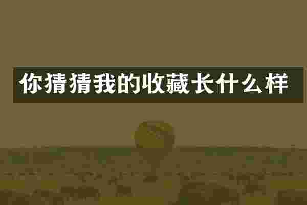 你猜猜我的收藏长什么样
