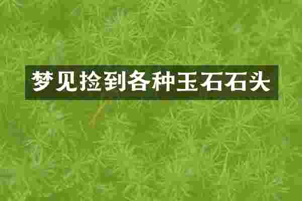 梦见捡到各种玉石石头