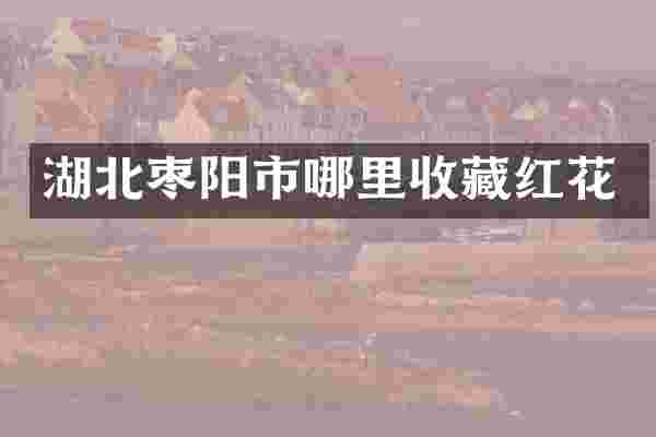 湖北枣阳市哪里收藏红花