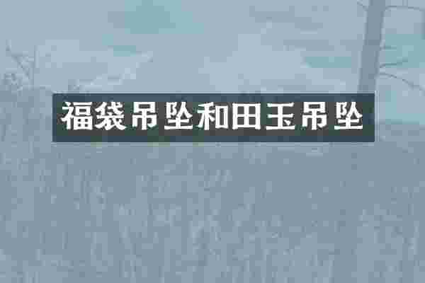 福袋吊坠和田玉吊坠