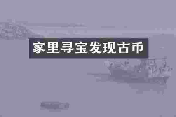 家里寻宝发现古币