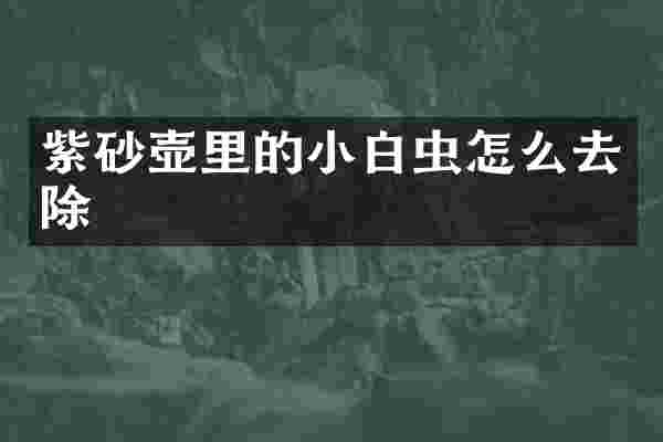 紫砂壶里的小白虫怎么去除