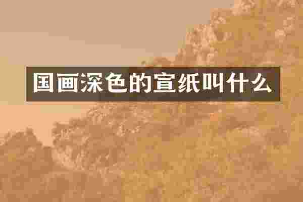 国画深色的宣纸叫什么