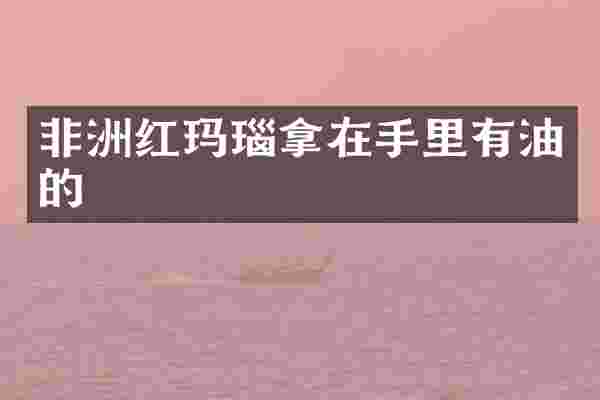 非洲红玛瑙拿在手里有油的
