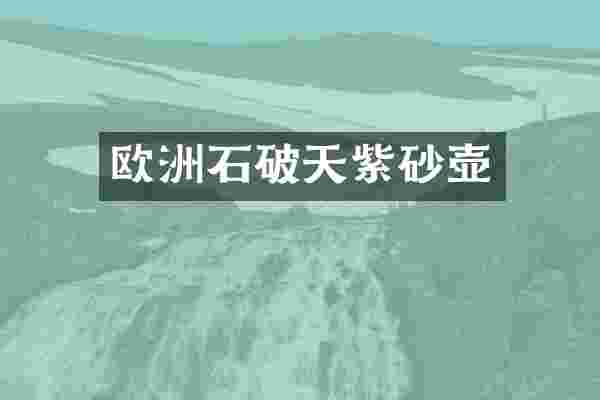 欧洲石破天紫砂壶