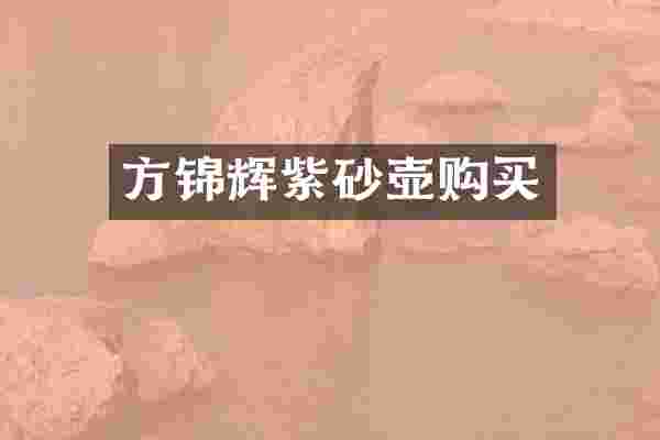 方锦辉紫砂壶购买