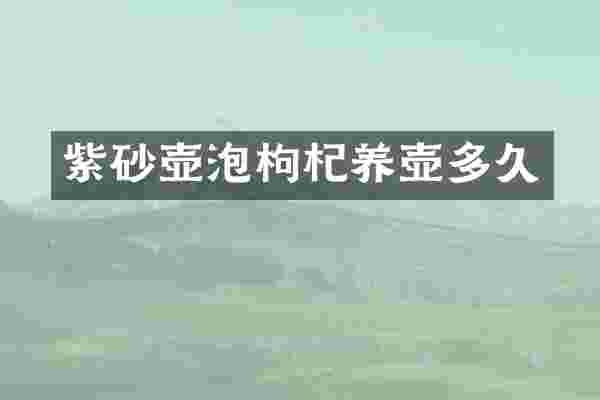 紫砂壶泡枸杞养壶多久