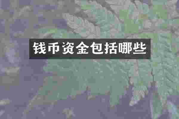 钱币资金包括哪些