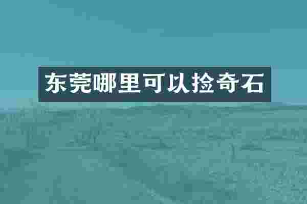 东莞哪里可以捡奇石